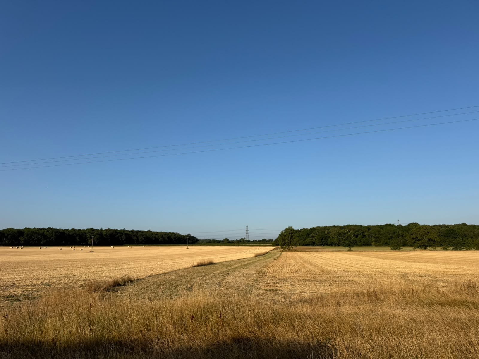 The fields surrounding Studio Yutori at Old Hagg Farm, Doddington